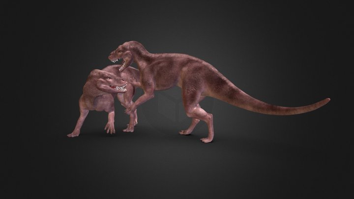 Creature Fight 3D Model