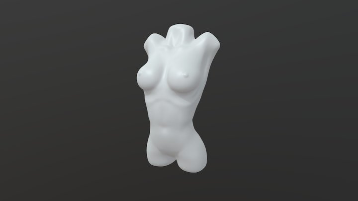 Torso Study 3D Model