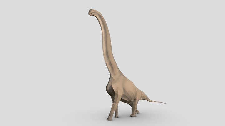 Brachiosaurus altithorax 3D Model