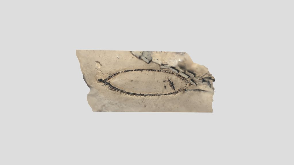 Wreck of the Francis Beddoe 3 April 2021