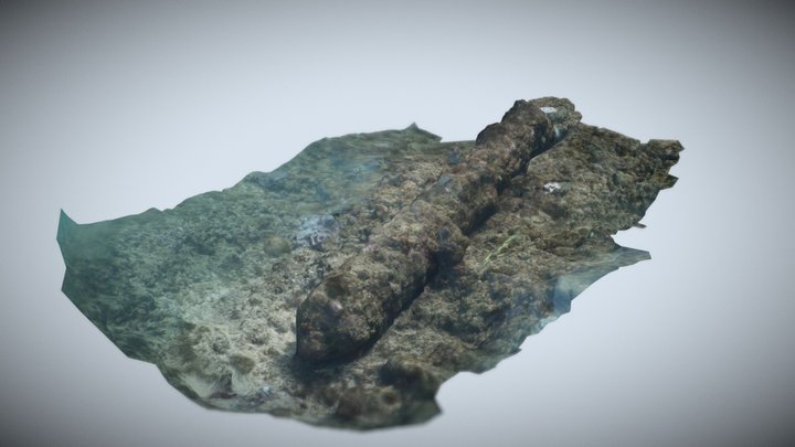 Le Speaker (île Maurice) 3D Model