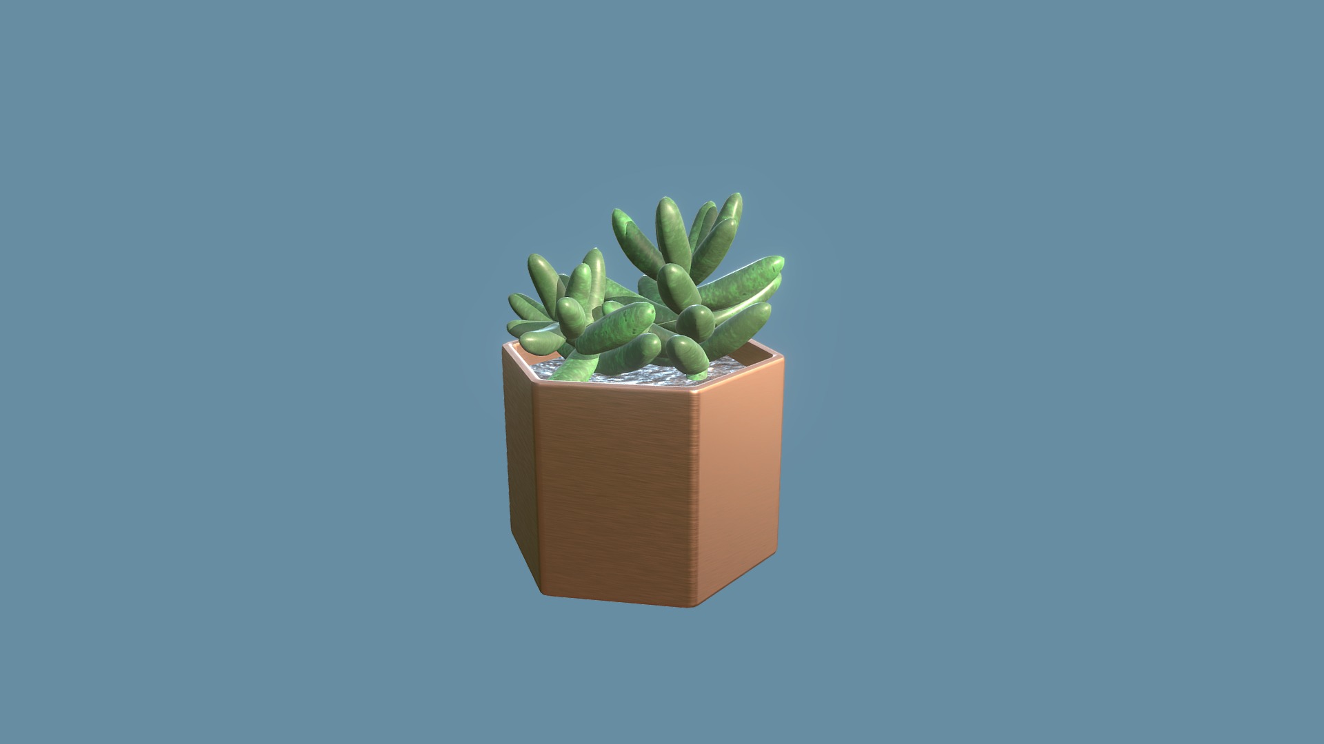 3D model Sedum Golden Glow Cactus - This is a 3D model of the Sedum Golden Glow Cactus. The 3D model is about a plant in a pot.