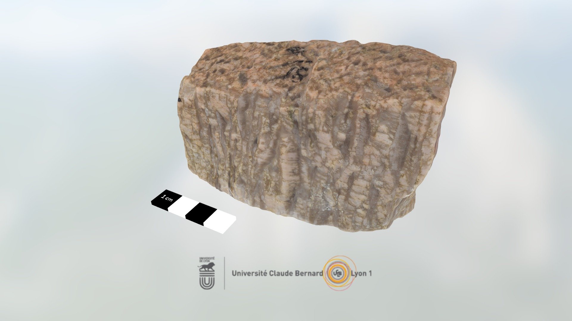 Granite graphique - 3D model by OSU_Lyon1 [9c19d21] - Sketchfab