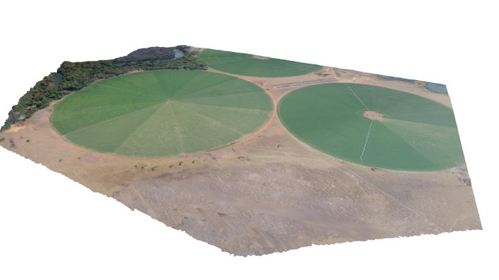 Pivo Plantação Agronegócio 3D Model