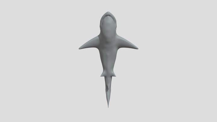 Tiburón 3D 3D Model