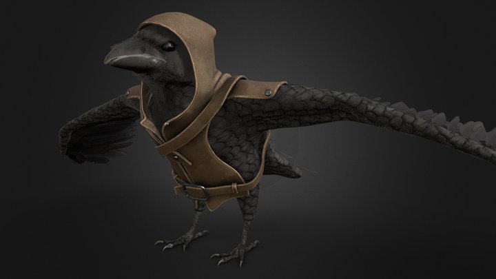 The Hooded Raven - Character