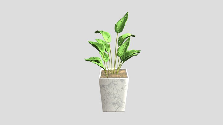Potted Plant 3D Model