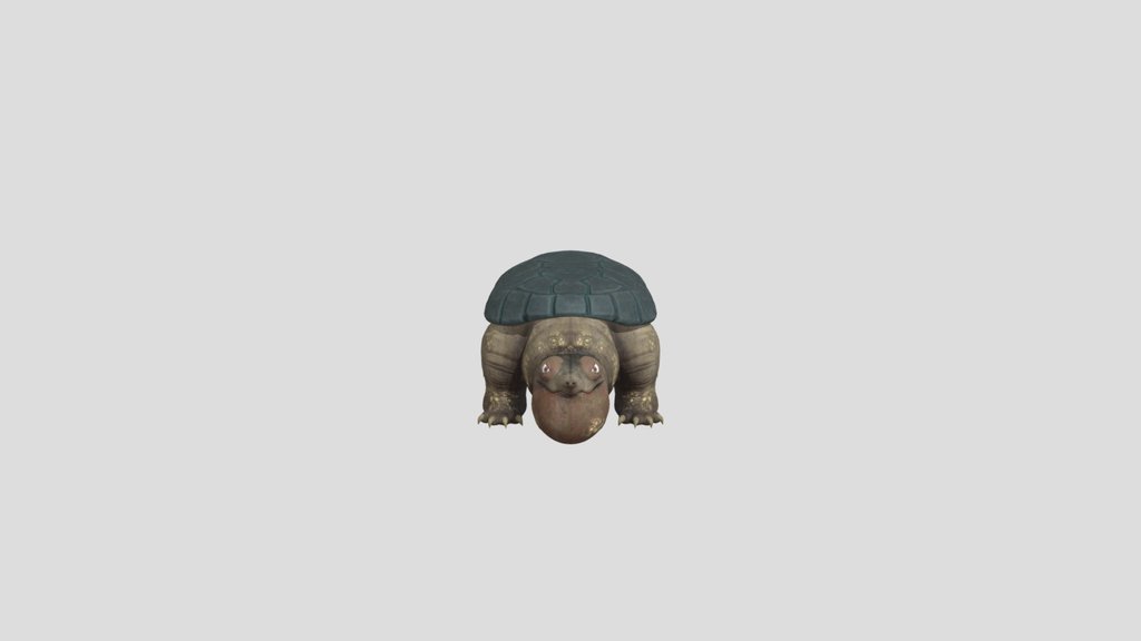 Cartoon Turtle Fully Rigged