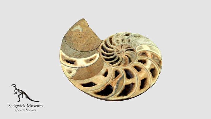 EduF466b Nautilus