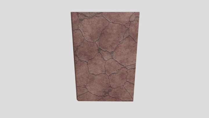 Flesh Book 3D Model