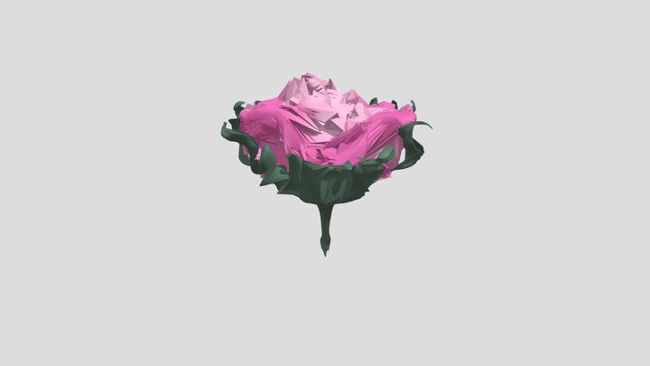 Peony Flower 3D Model
