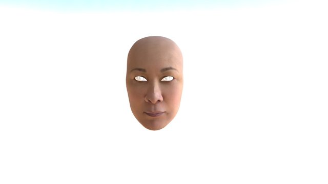 Mother Face 3D Model