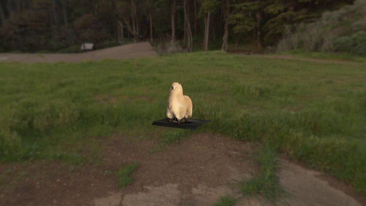 Model 3D Model