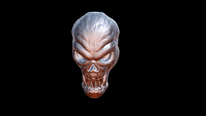 Skull 3D Model