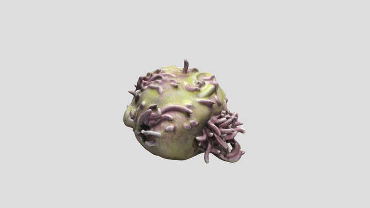 Maggot Head 3D Model