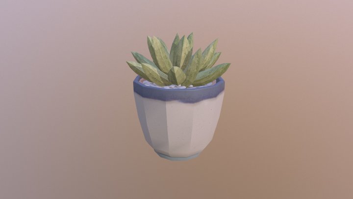 Cactus Gasteria 3D Model
