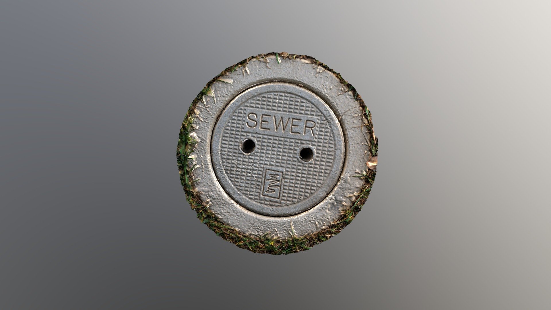 Sewer Cover