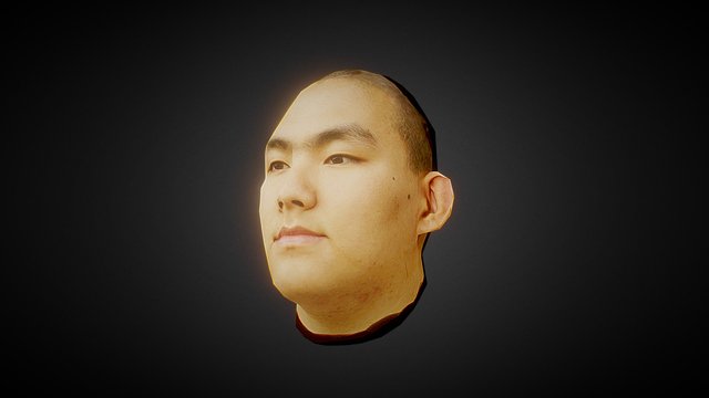 Head 3D Model