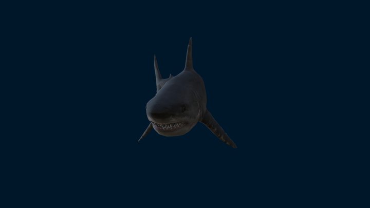 Shark VIEWER 3D Model