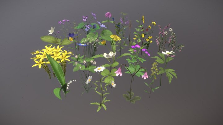Taskumetsa Mobile Game Flowers 3D Model