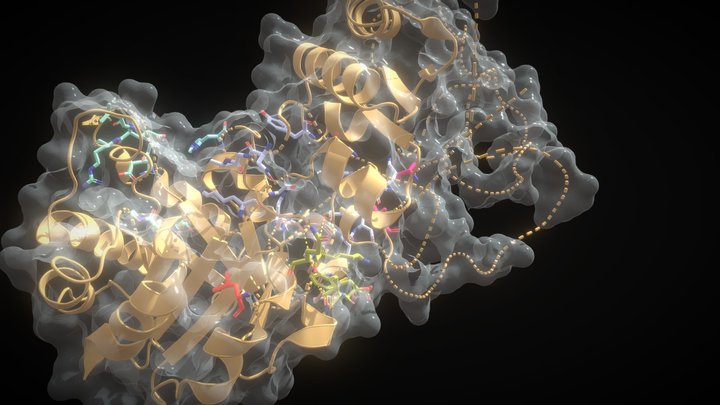 Human Triosephosphate Isomerase (BIOL244 2023) 3D Model