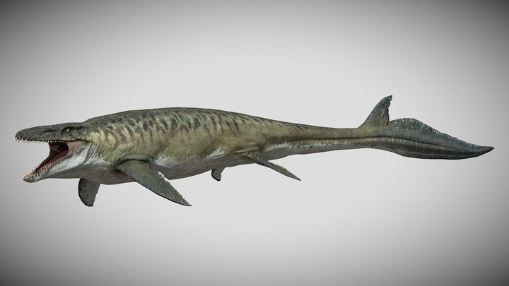 M142 – Free 3D Model STL