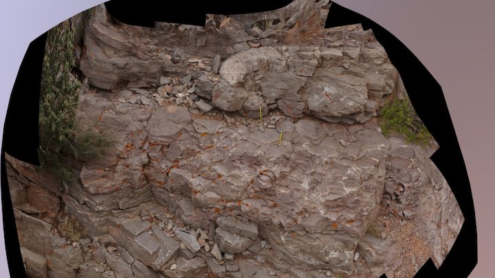 Outcrop of Algal Mounds - Alcova Limestone, WY 3D Model
