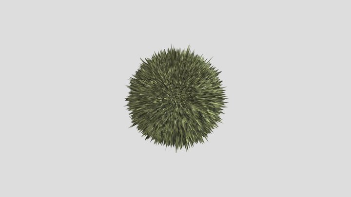 Green Urchin 3D Model