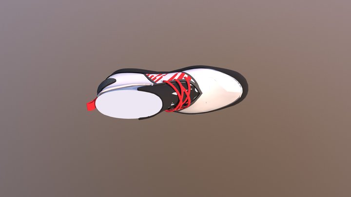 Dans Shoe complete 3D Model