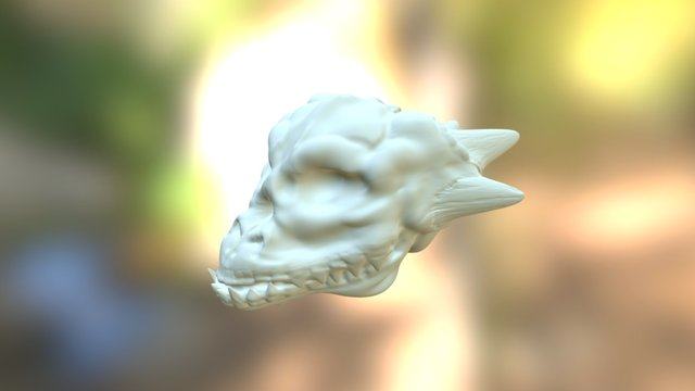 Dragon Skull Practice 3D Model
