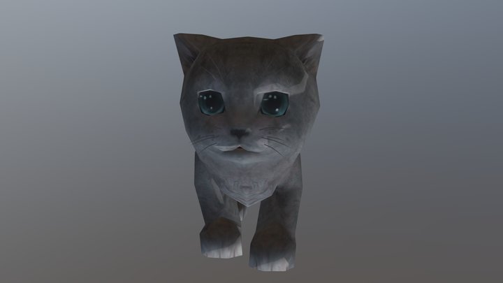 cat animation