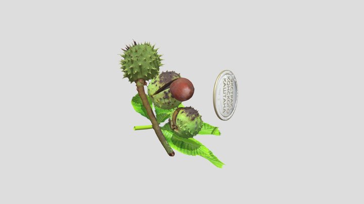 Chestnut with leaves 3D Model