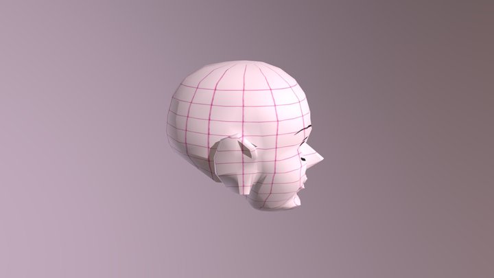 atama 3D Model