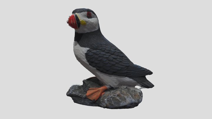 Puffin 3D Model