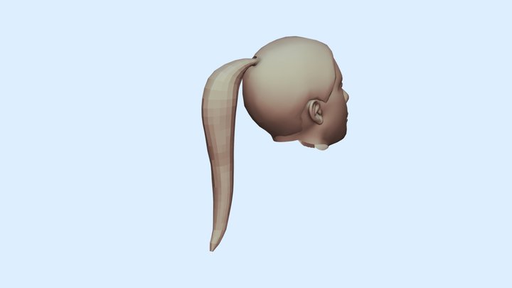 Nova [Face] 3D Model