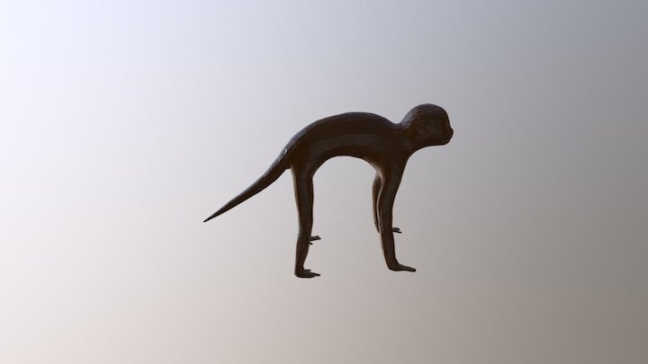 Mono Capuchino Retopo 3D Model