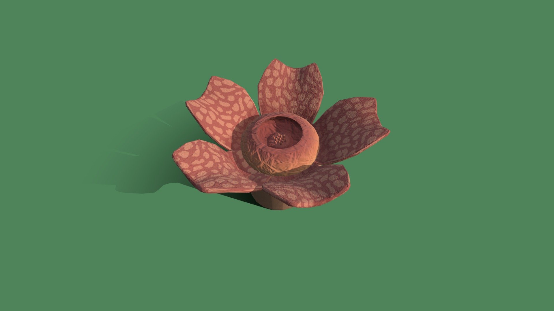 Plant