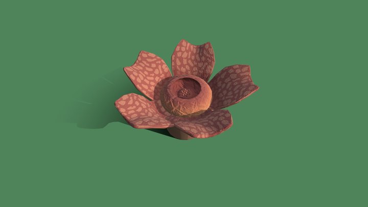 Plant 3D Model