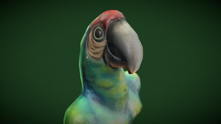 Brother Parrot | Macaw Perch 3D Model
