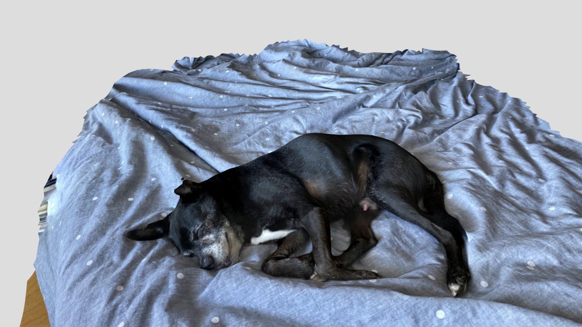 Sleeping Chi