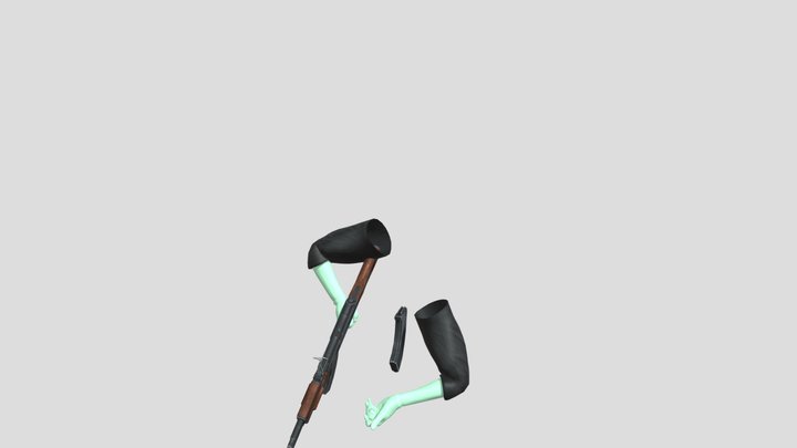 first person gun 3D Model