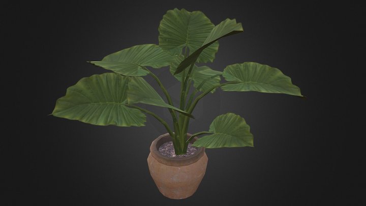 potted_plant-1 3D Model