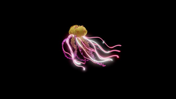 Jelly Fish 3D Model