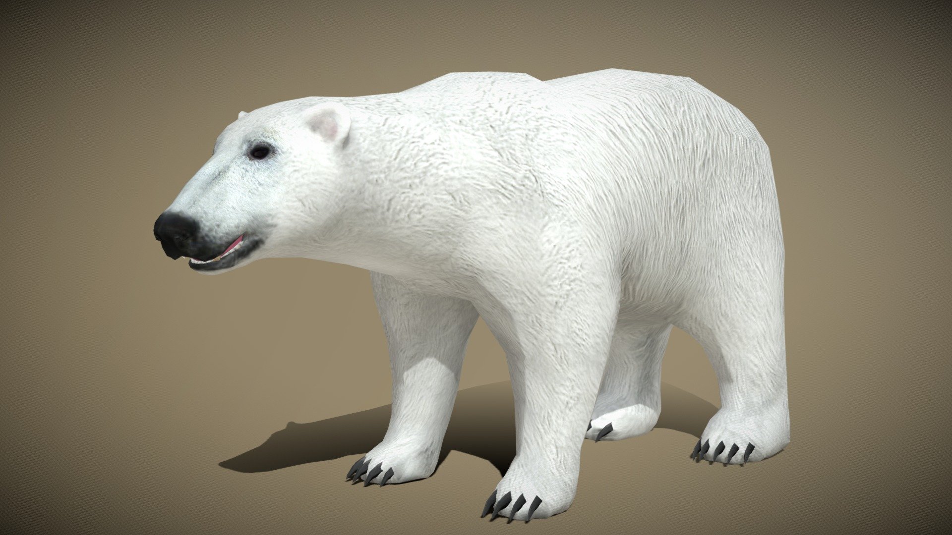 3DRT - wild animals - polar bear - Buy Royalty Free 3D model by   (@) [9c76f4c]