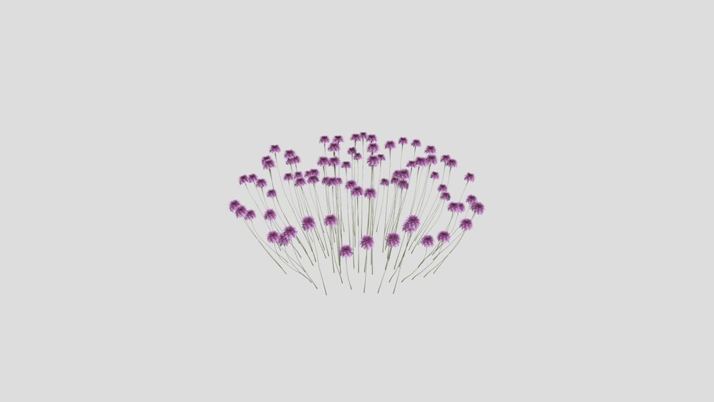 Sj Elegant Meadow Bush