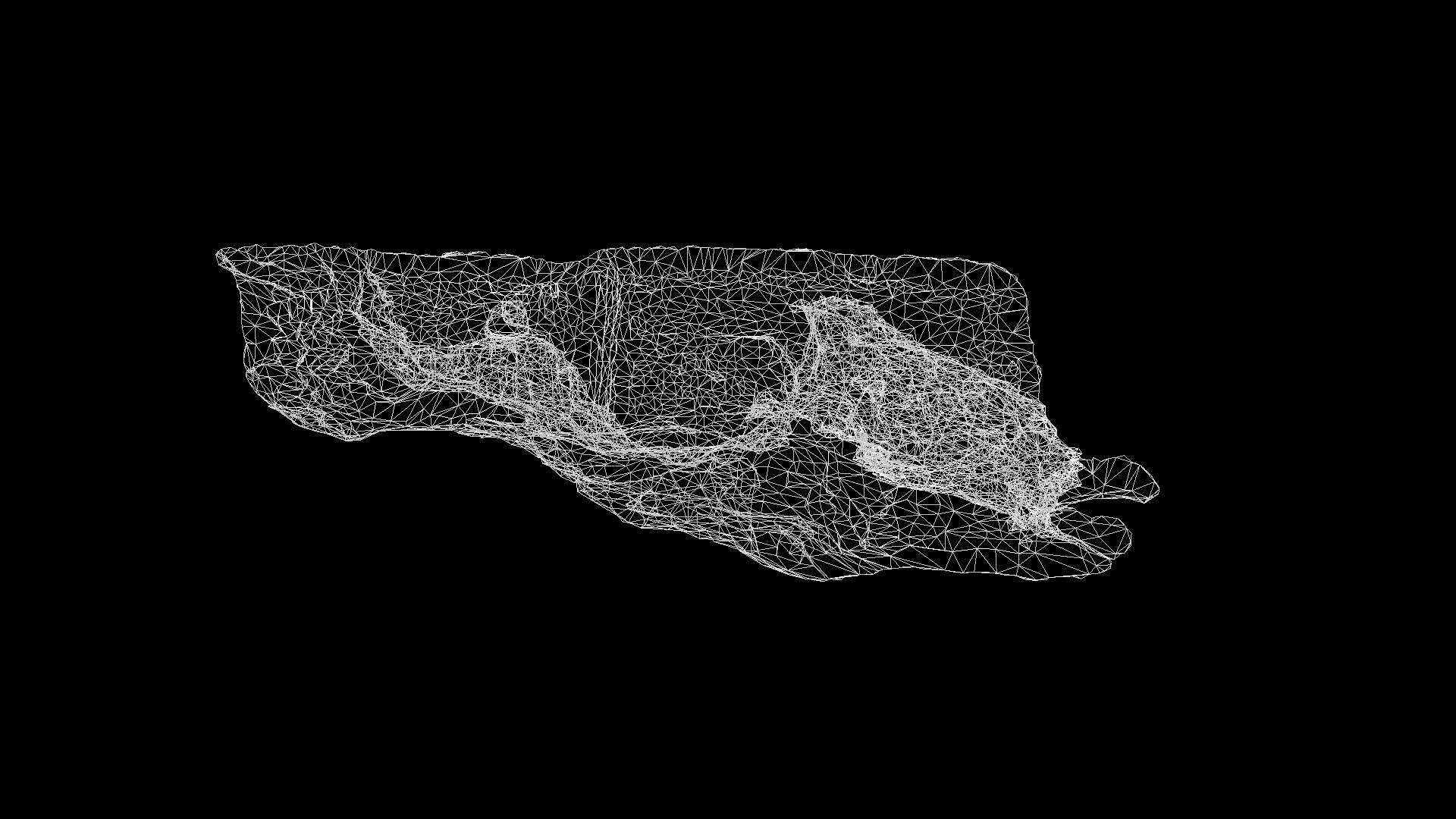 15_Film Extraction Mesh
