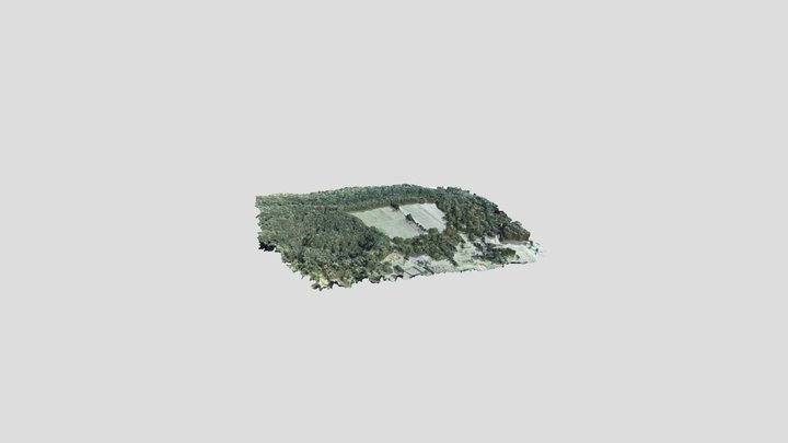 Свиридівське городище 3D Model