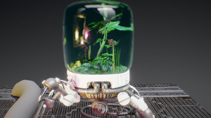 Terrarium Bot 02 3D Model