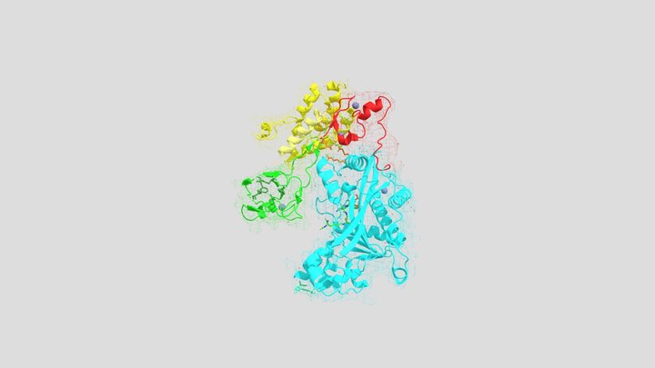 P300 structure and some key features 3D Model