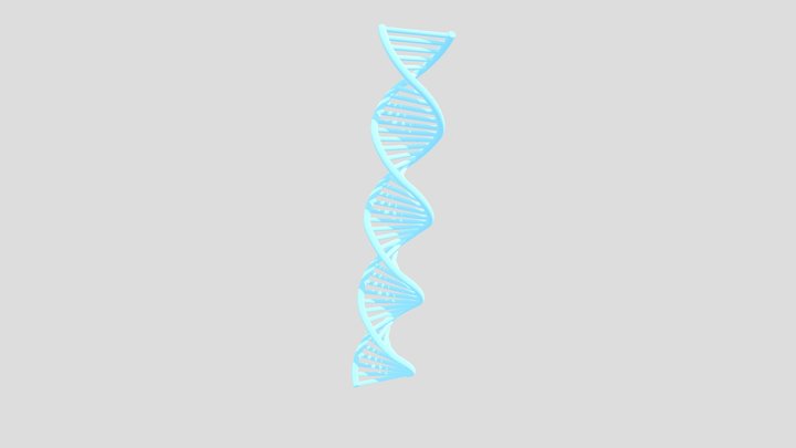DNA 3D Model